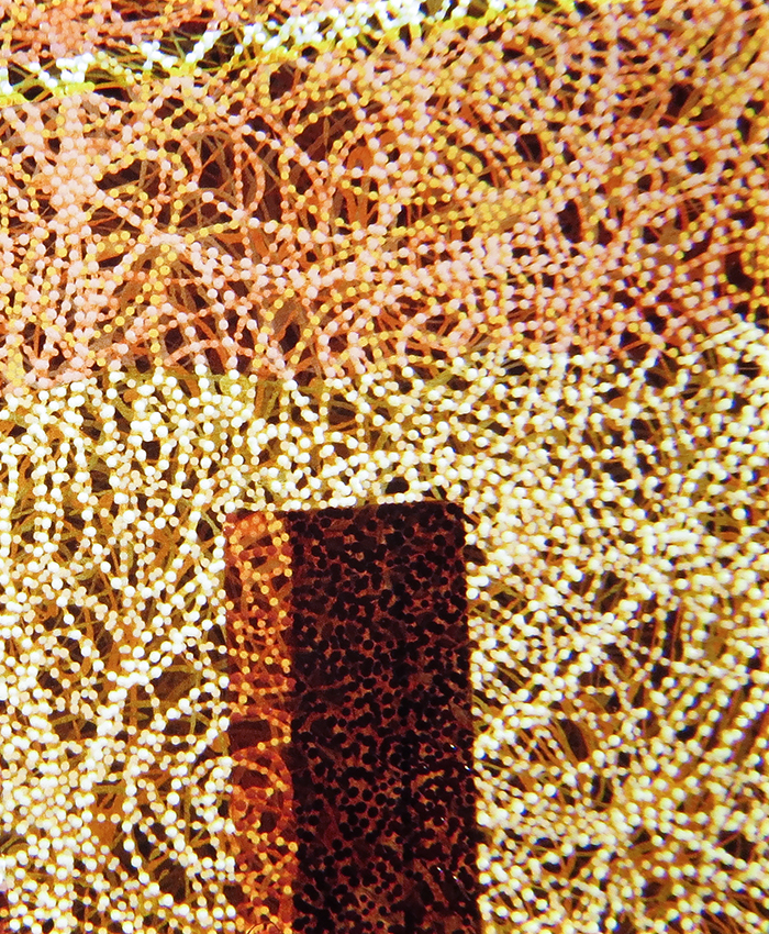 D1_Where My Sanity Lives