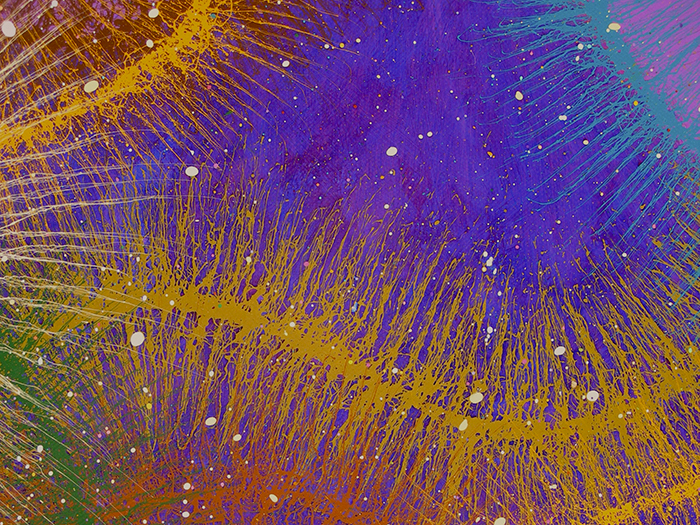 D1_Primord Study No. 2