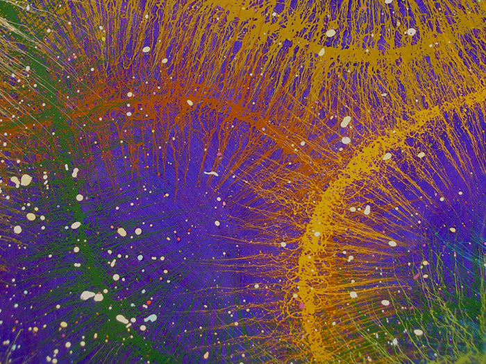 D2_Primord Study No. 2