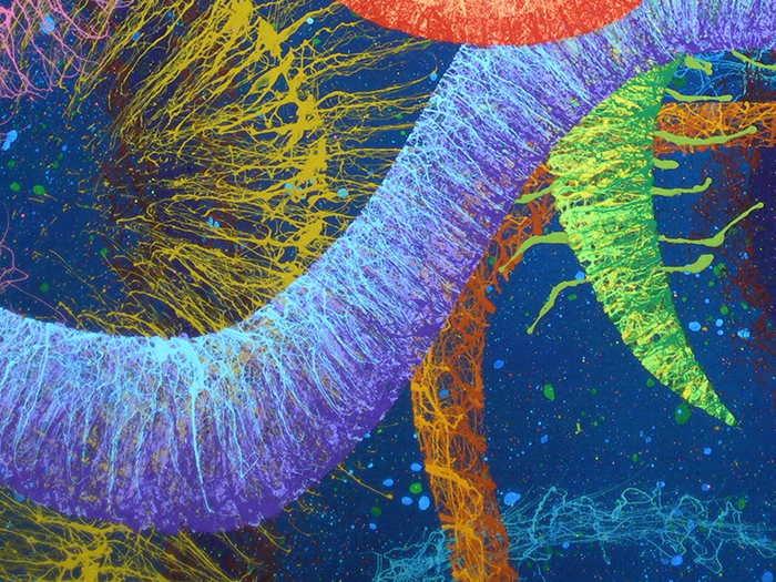 D2_Biolog Study No.3