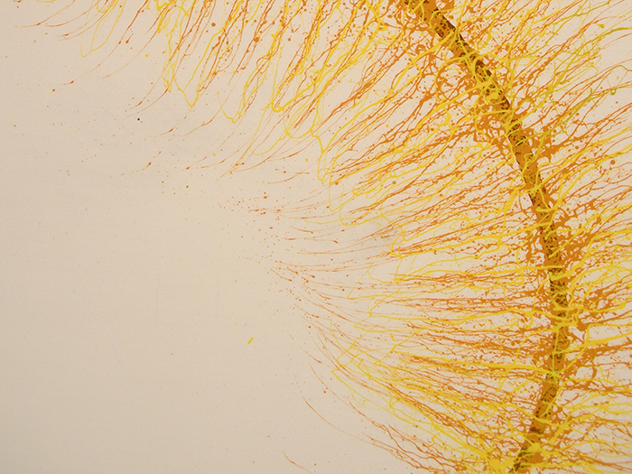 D2_Species No. 1a (Study)