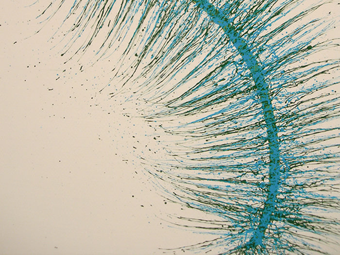 D2_Species No. 1b (Study)