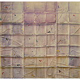 TMN_Systematic Brown