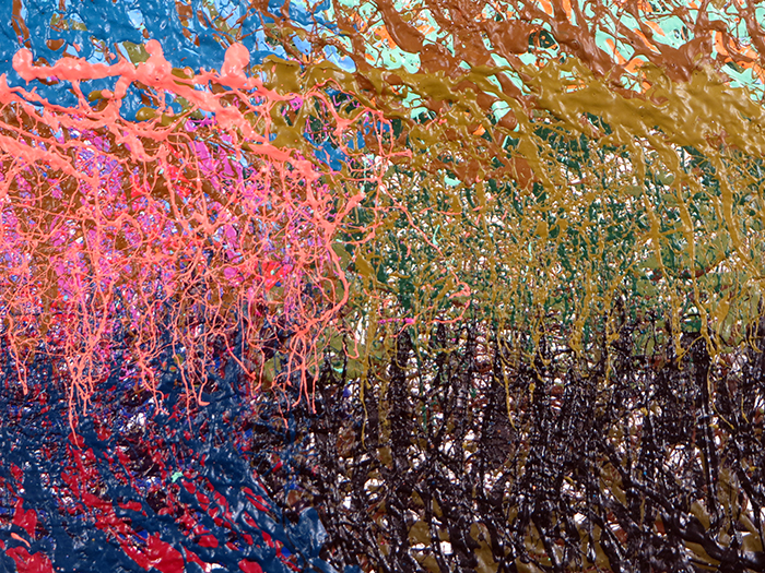 PREIMP21A_XXXDETAIL3