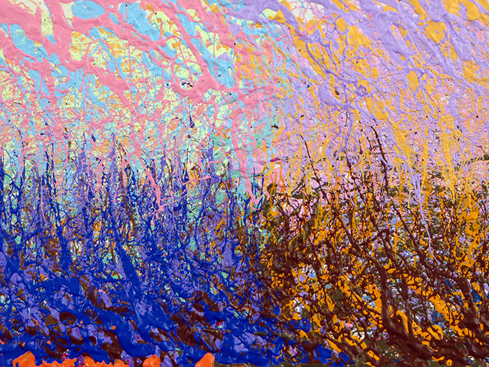 PREIMP21B_XXXDETAIL2