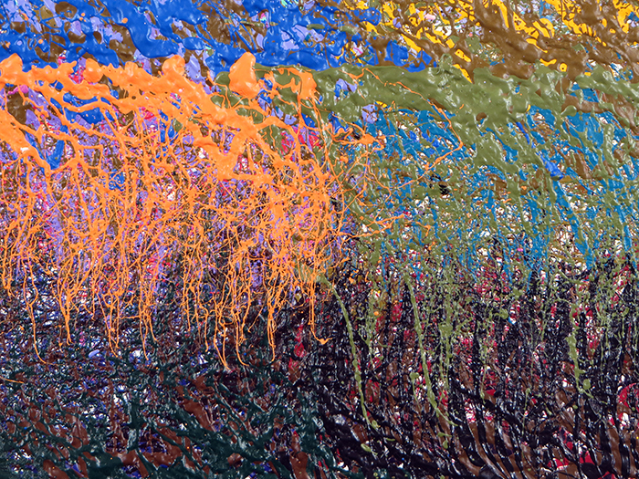 PREIMP21B_XXXDETAIL3