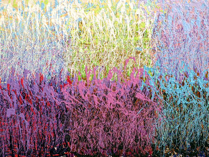 PREIMP4D_DETAIL
