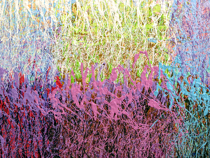 PREIMP4D_XDETAIL