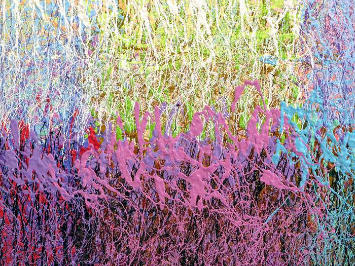 PREIMP4D_XXXDETAIL